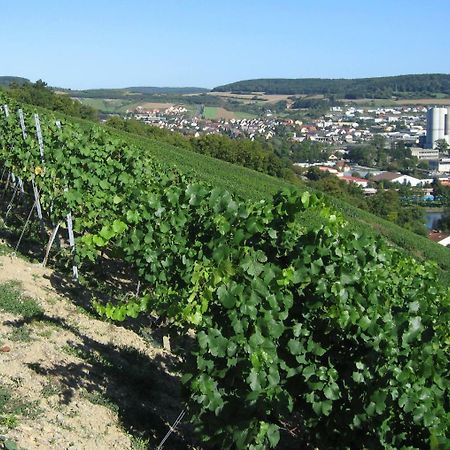 Готель Weinstube Schwalbennest Карлштадт Екстер'єр фото